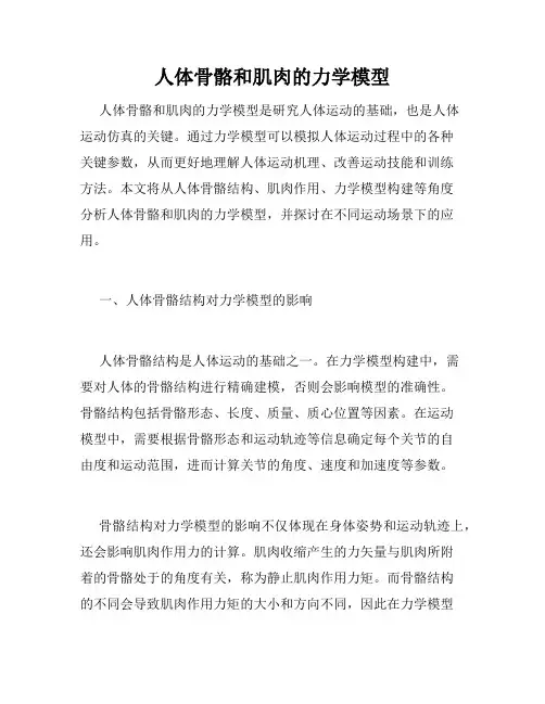 人体骨骼和肌肉的力学模型