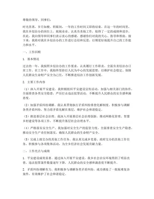乡综治办个人工作总结