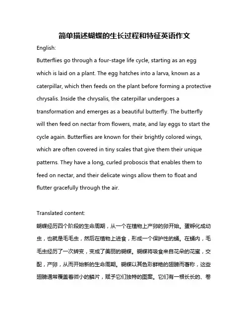 简单描述蝴蝶的生长过程和特征英语作文