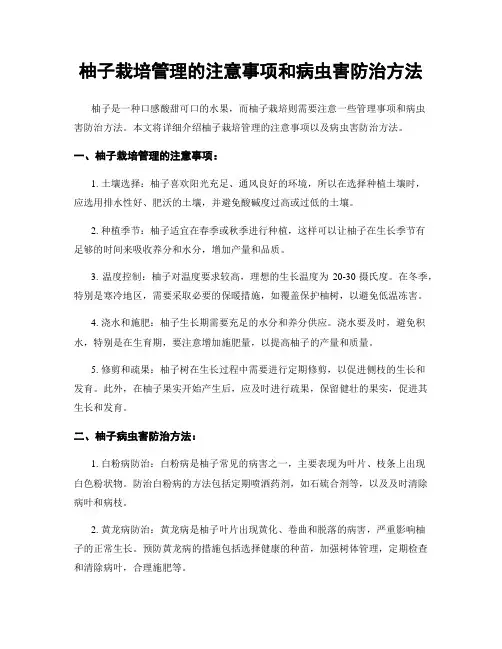 柚子栽培管理的注意事项和病虫害防治方法