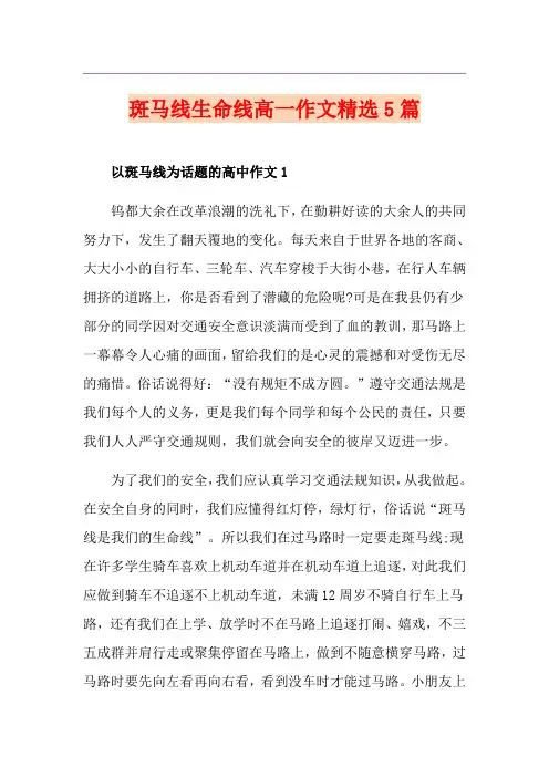 斑马线生命线高一作文精选5篇