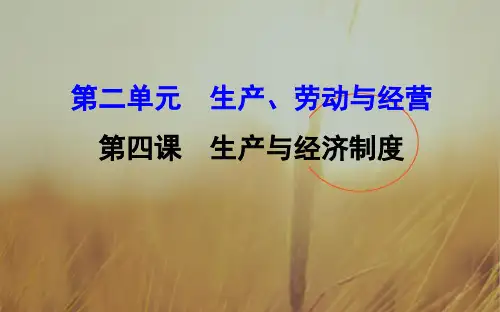 2018年高考政治一轮复习课件：1-2-4生产与经济制度 精品