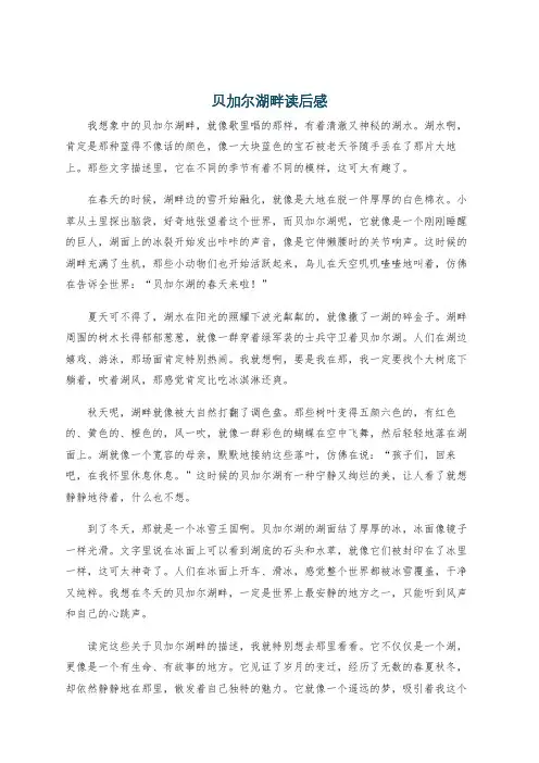 贝加尔湖畔读后感