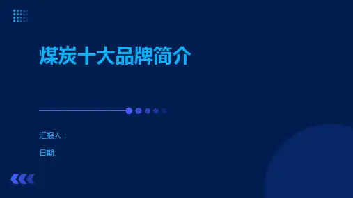 煤炭十大品牌简介