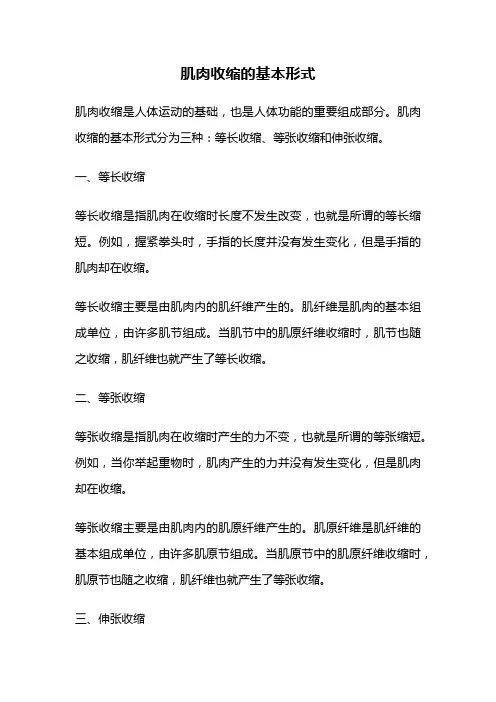 肌肉收缩的基本形式