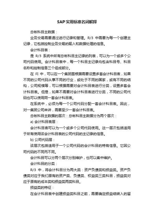 SAP实用标准名词解释