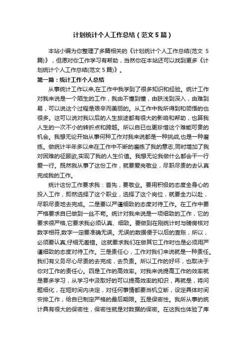 计划统计个人工作总结（范文5篇）