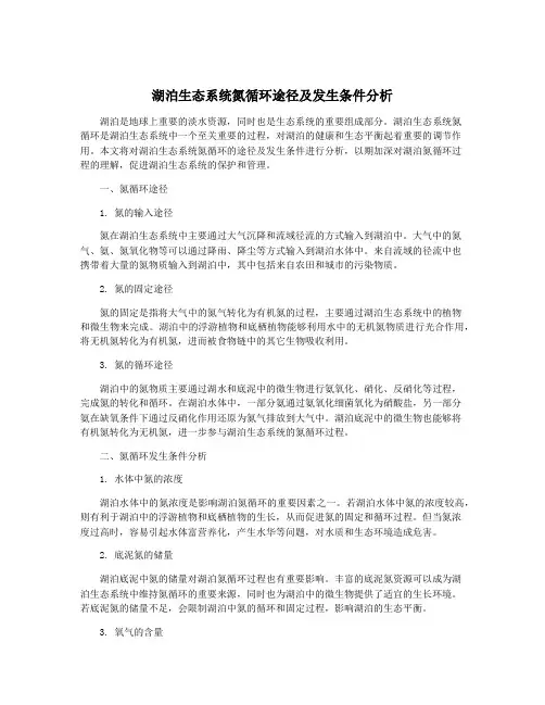 湖泊生态系统氮循环途径及发生条件分析