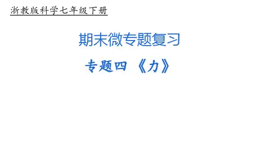 浙教版七年级科学下册期末微专题复习之专题四《力》