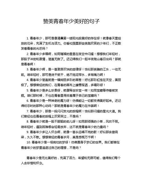赞美青春年少美好的句子