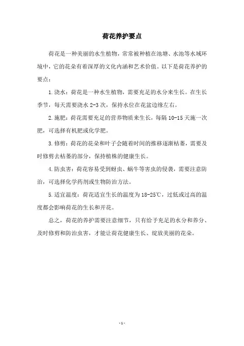 荷花养护要点