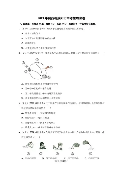 2019年陕西省咸阳市中考生物试卷