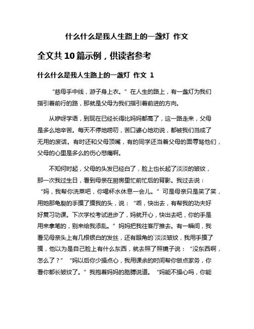 什么什么是我人生路上的一盏灯 作文