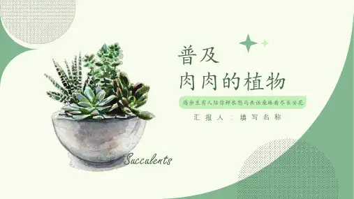 小清新教育教学通用PPT模板