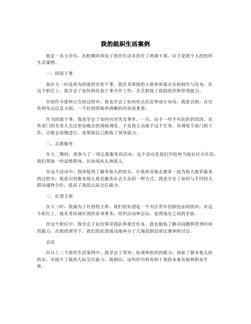 我的组织生活案例