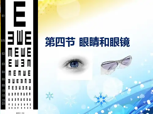 眼睛和眼镜教学课件PPT