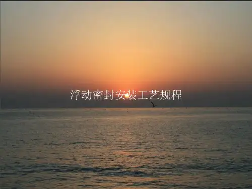 浮动密封安装工艺规程PPT课件