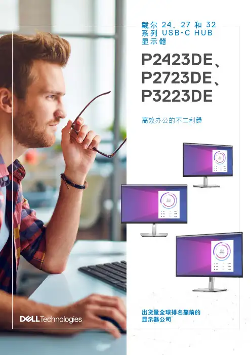 戴尔显示器 P 系列 USB-C HUB 系列说明书