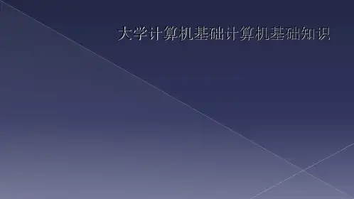大学计算机基础计算机基础知识