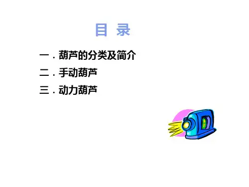 手拉葫芦吊装用具安全作业知识