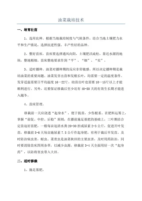 油菜栽培技术