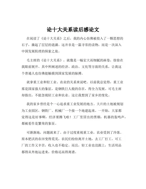 论十大关系读后感论文