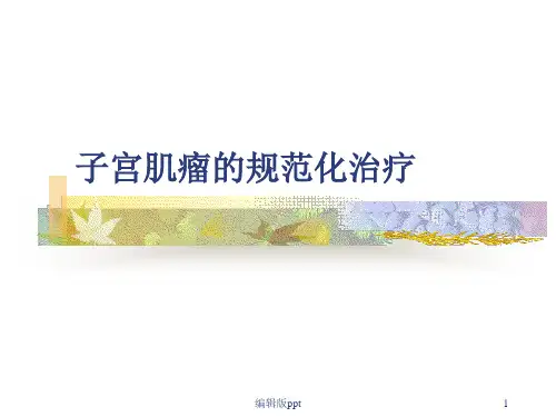 子宫肌瘤治疗PPT课件