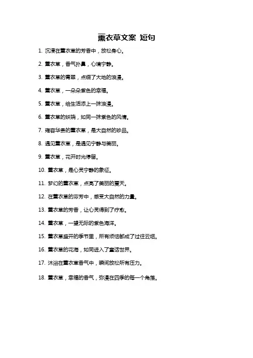 薰衣草文案 短句