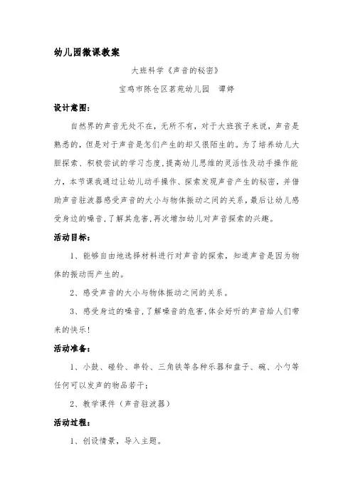 大班科学《声音的秘密》微教案