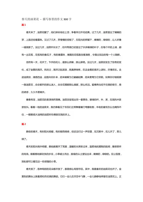 春天的油菜花 - 描写春景的作文300字