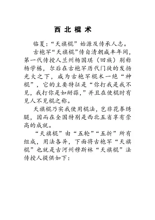 西北棍 术之天旗棍