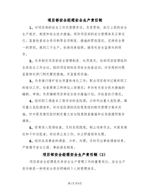 项目部安全经理安全生产责任制（5篇）