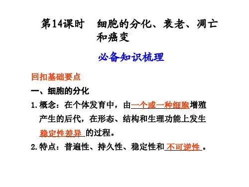 生物高考复习 细胞的分化衰老凋亡 优质课件