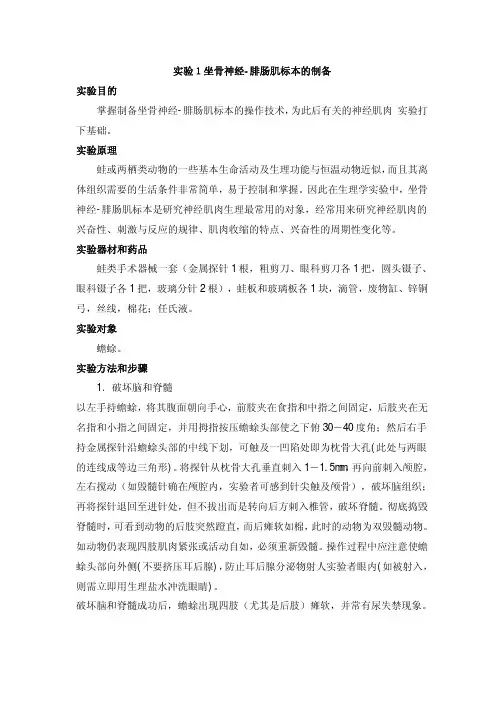 实验1坐骨神经-腓肠肌标本的制备
