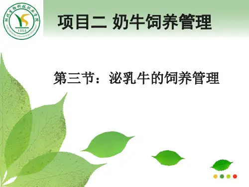 牛羊生产学6
