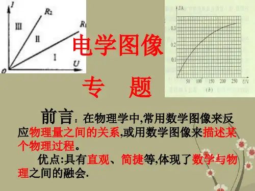 电功和电功率图像专题复习PPT课件(初中科学)