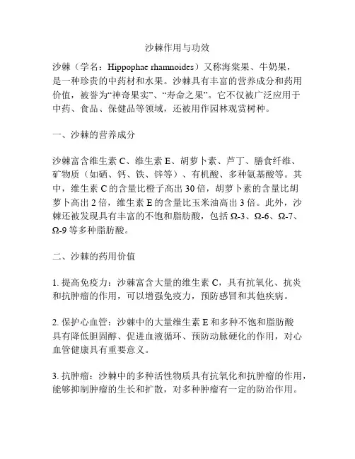 沙棘作用与功效