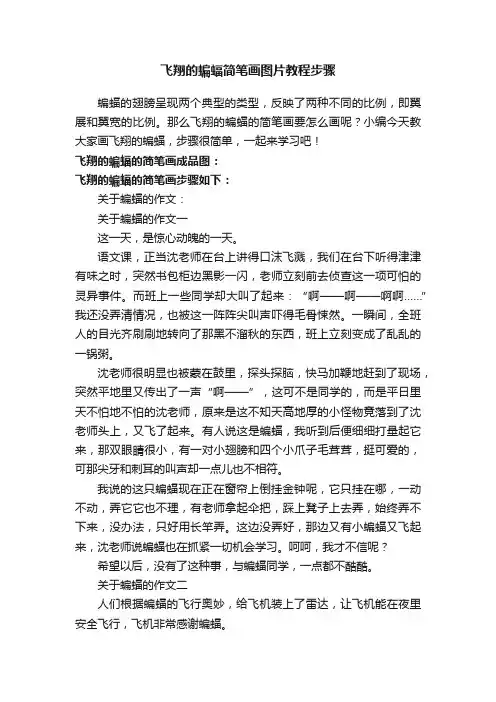 飞翔的蝙蝠简笔画图片教程步骤