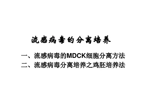 微生物实验十 流感病毒的分离培养 PPT课件