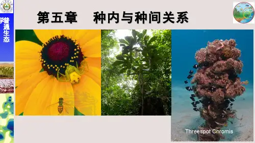 生态学(5.1.1)--竞争和密度效应