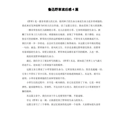 鲁迅野草读后感4篇