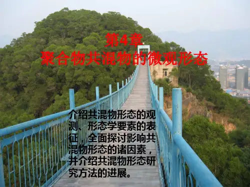 第四章 聚合物共混物的微观形态
