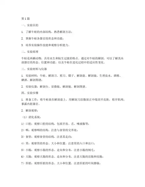 牛蛙解剖的实验报告(3篇)