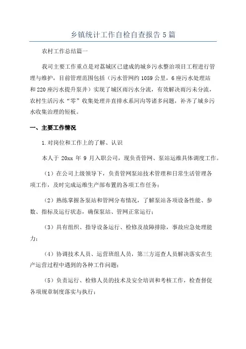 乡镇统计工作自检自查报告5篇