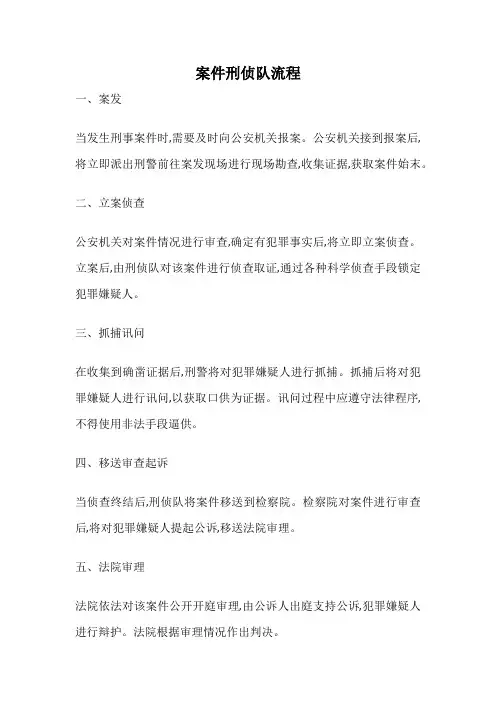 案件刑侦队流程