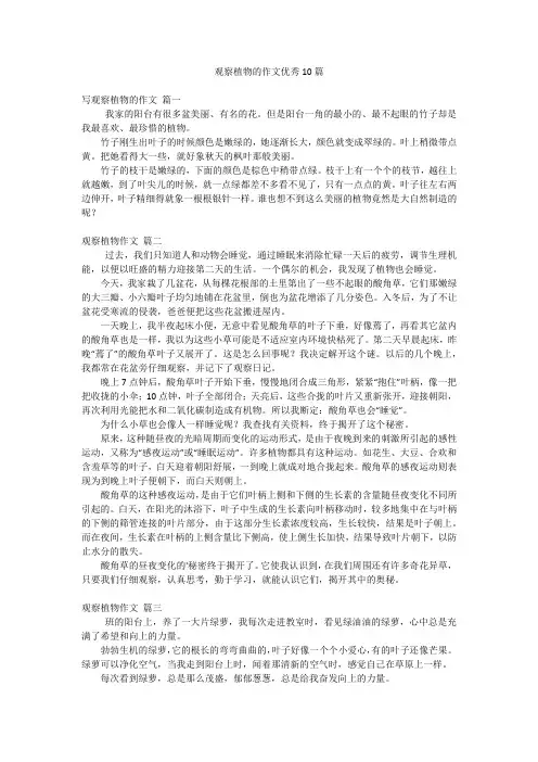 观察植物的作文优秀10篇
