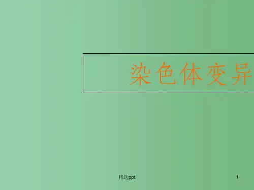 (新课标)高中生物《染色体变异》课件27  新人教版必修2