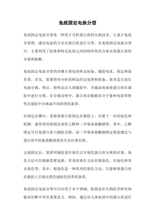 免疫固定电泳分型