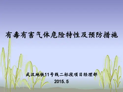 有毒有害气体的危害及预防措施(课堂PPT)