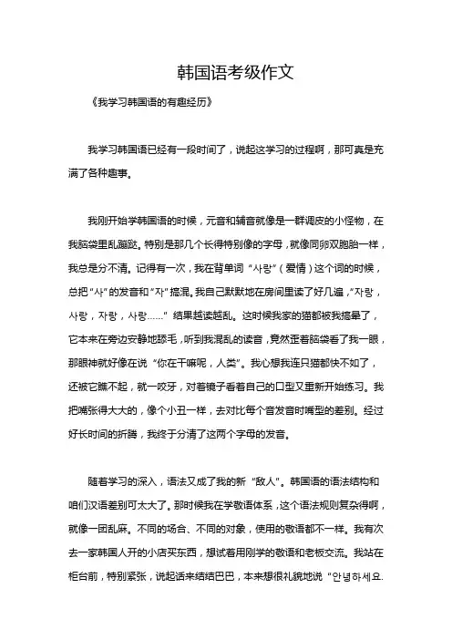 韩国语考级作文